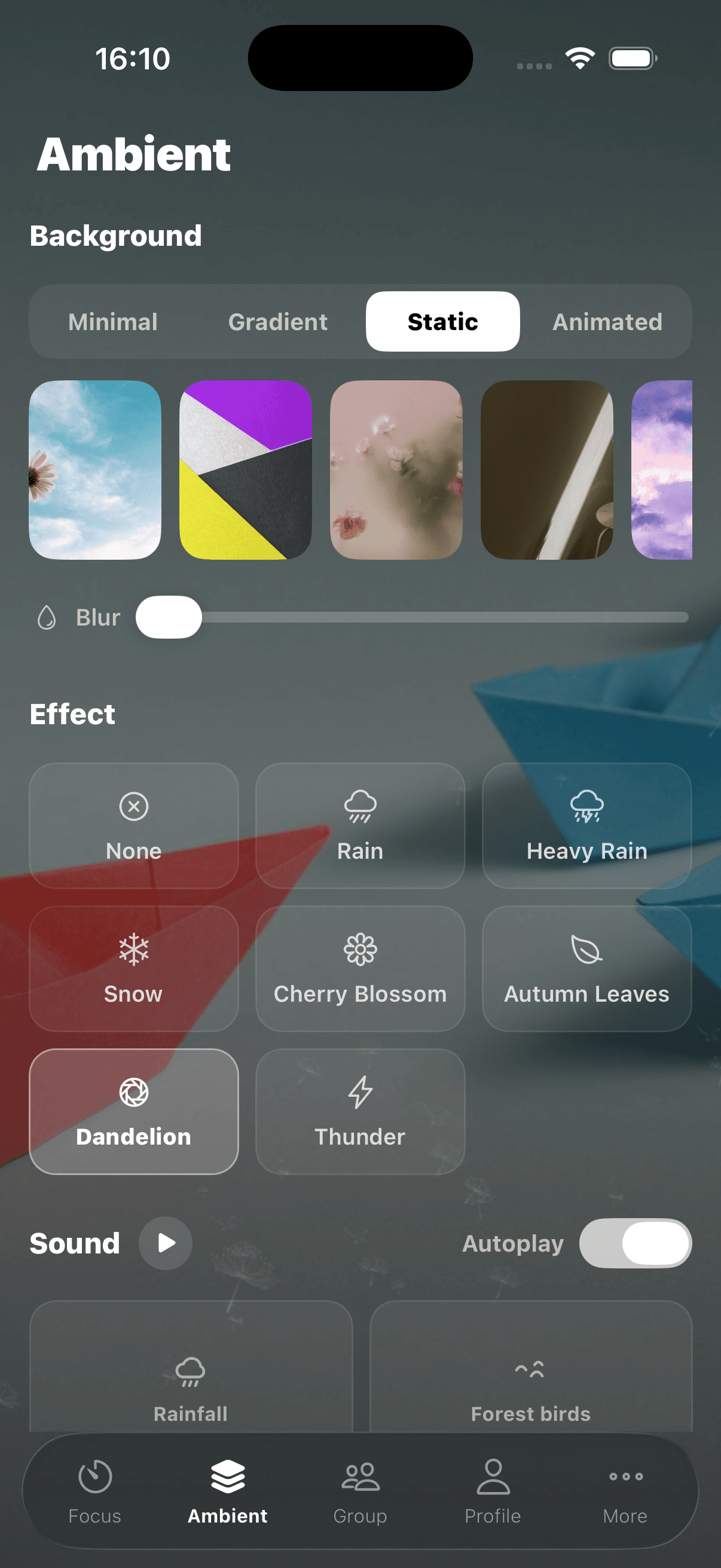 StudyFoc.us mobile ambient settings screen